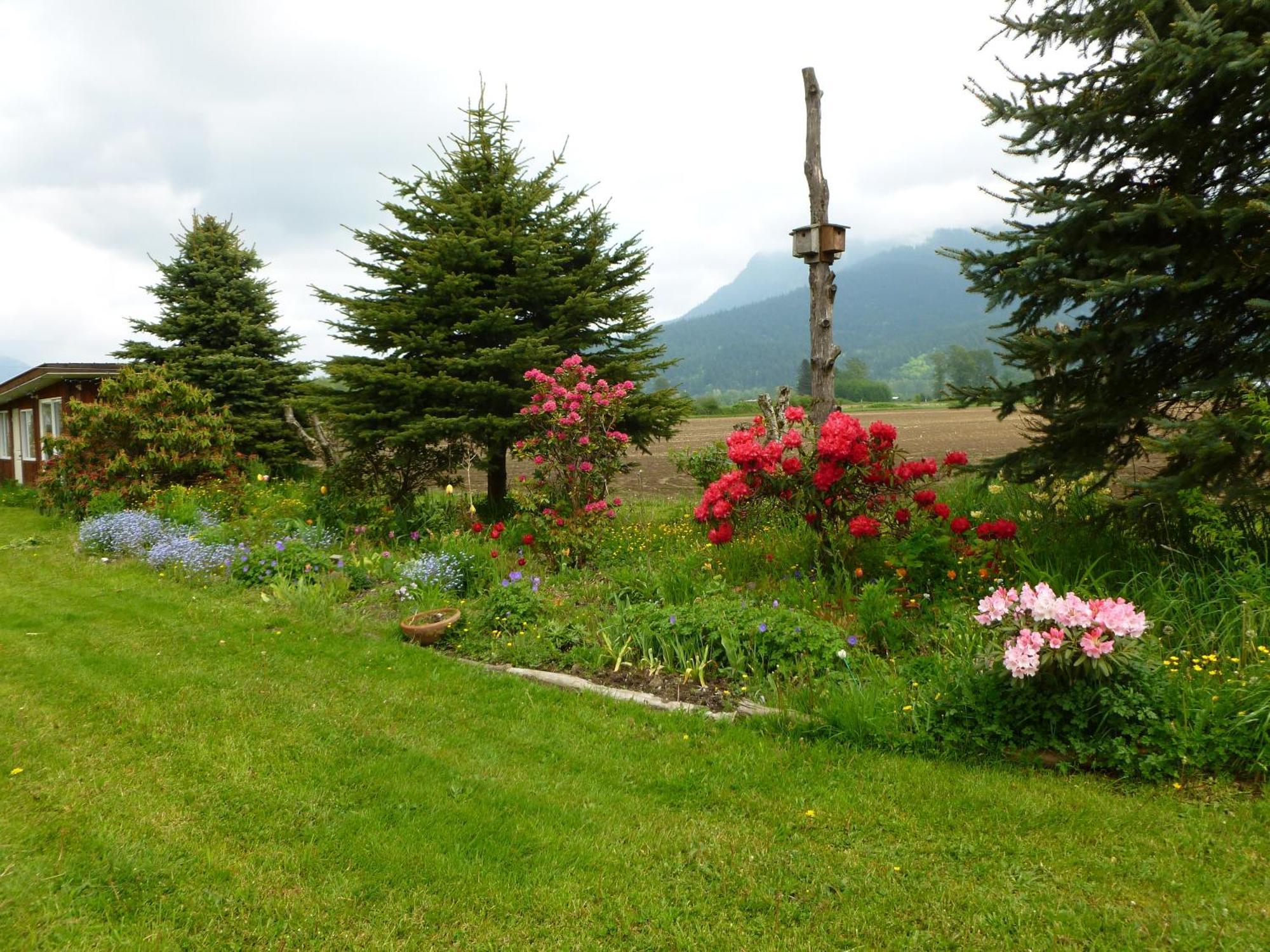 Harrison Hammond House Farmstay Harrison Mills Exterior photo